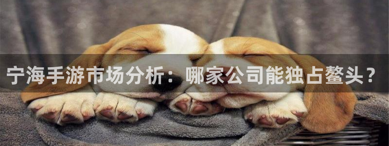 V8娱乐官网：宁海手游市场分析：哪家公司能独占鳌头？