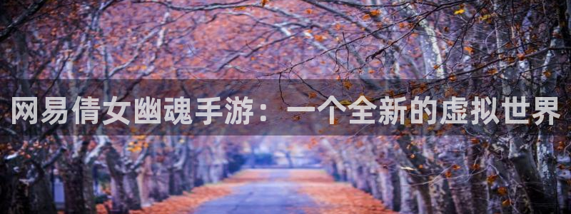V8娱乐登录：网易倩女幽魂手游：一个全新的虚拟世界