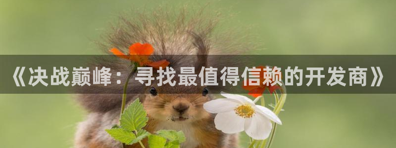 V8娱乐
