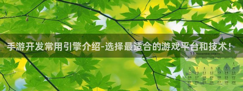 V8娱乐网：手游开发常用引擎介绍-选择最适合的游戏平台和技术