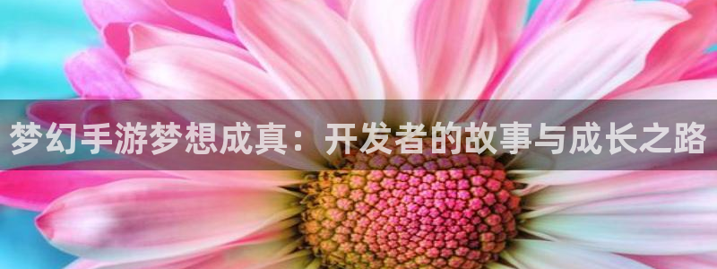 V8娱乐网：梦幻手游梦想成真：开发者的故事与成长之路