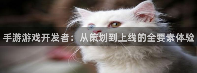V8娱乐注册：手游游戏开发者：从策划到上线的全要素体验