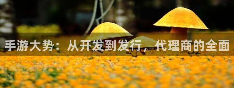 V8娱乐登录：手游大势：从开发到发行，代理商的全面