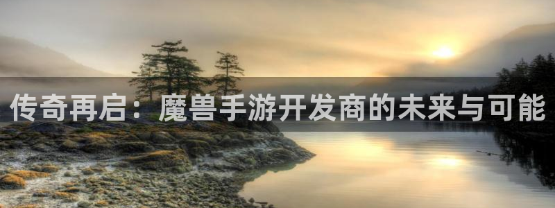 V8娱乐官网：传奇再启：魔兽手游开发商的未来与可能