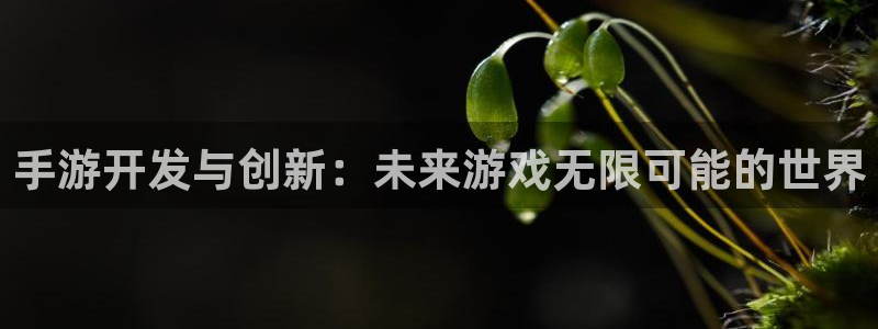 V8娱乐网：手游开发与创新：未来游戏无限可能的世界