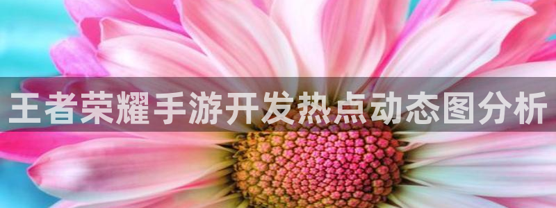 V8娱乐网：王者荣耀手游开发热点动态图分析