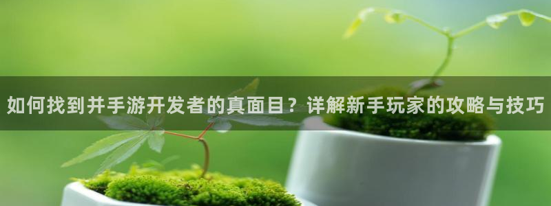 V8娱乐：如何找到并手游开发者的真面目？详解新手玩家的攻略与