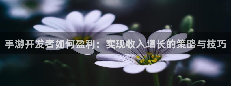 V8娱乐平台：手游开发者如何盈利：实现收入增长的策略与技巧