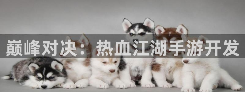 V8娱乐网：巅峰对决：热血江湖手游开发