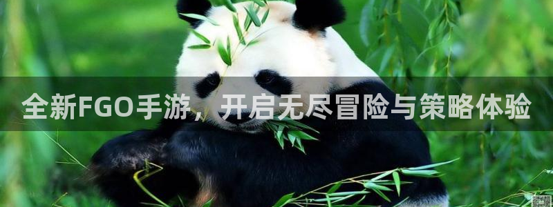 V8娱乐登录:全新FGO手游,开启无尽冒险与策略体验