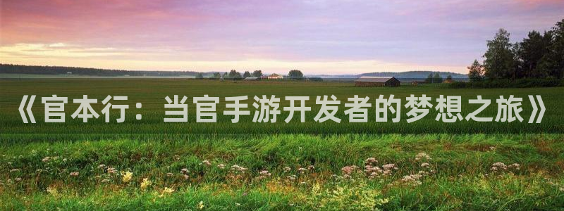 V8娱乐官网:《官本行:当官手游开发者的梦想之旅》