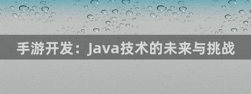 V8娱乐注册：手游开发：Java技术的未来与挑战