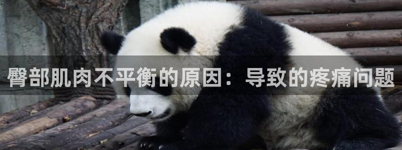 三亿体育登录：臀部肌肉不平衡的原因：导致的疼痛问题