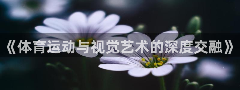 三亿体育网页版：《体育运动与视觉艺术的深度交融》