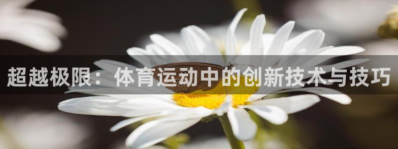 三亿体育网：超越极限：体育运动中的创新技术与技巧
