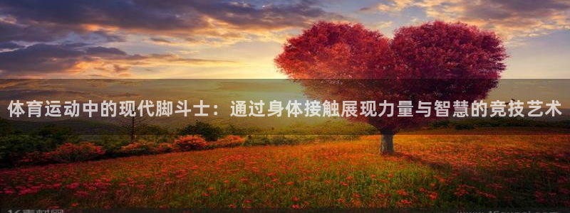 三亿体育网：体育运动中的现代脚斗士：通过身体接触展现力量与智慧的竞技艺术