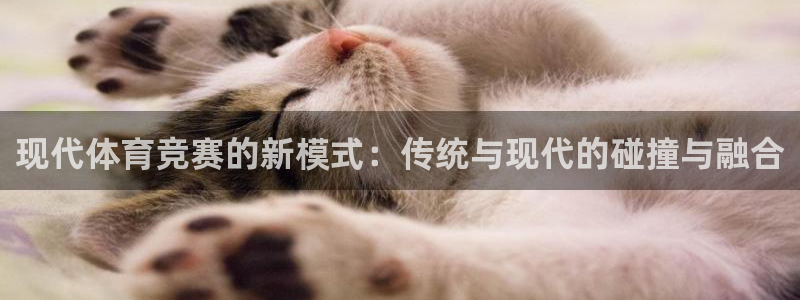 三亿体育登录：现代体育竞赛的新模式：传统与现代的碰撞与融合