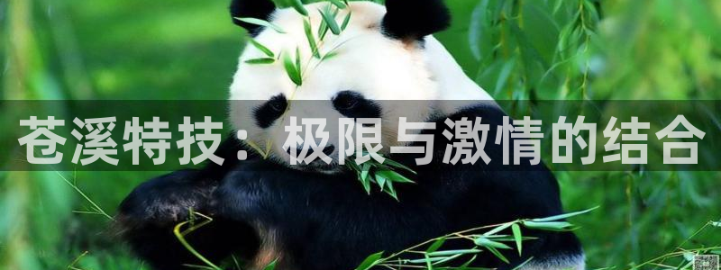 三亿体育网：苍溪特技：极限与激情的结合